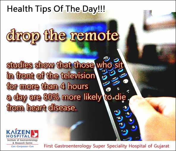 Nullam euismod commodo